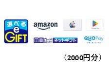 【web限定】本などを買える！ 選べるe-GIFT （2000円分） ※海外の方は利用できません。※進研ゼミ専用タブレットからはお手続きできません。