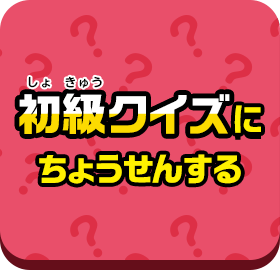 初級クイズにちょうせんする