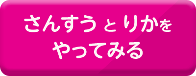 さんすうとりかをやってみる