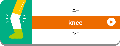 knee