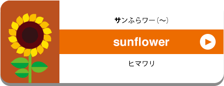 sunflwer